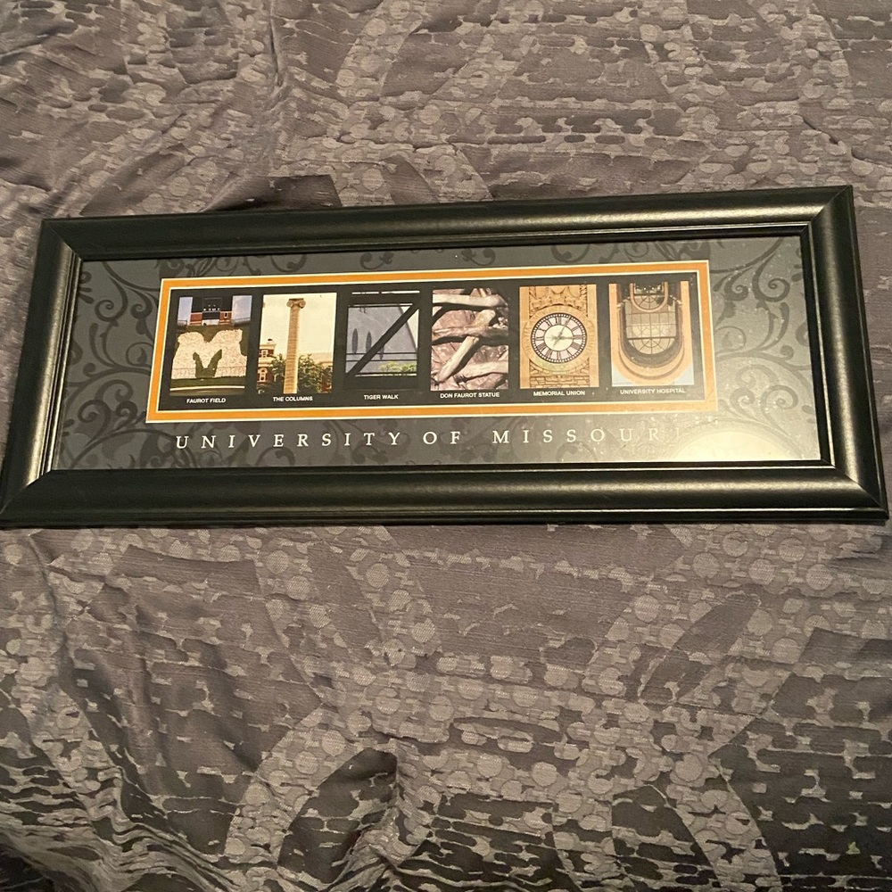 Mizzou Wall Art